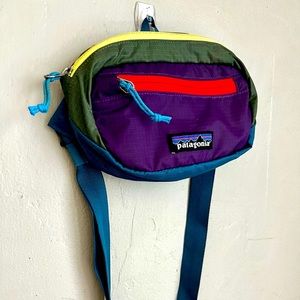 Patagonia Ultra Lightweight Black Hole Hip Pack